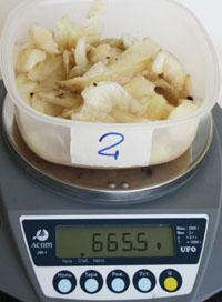 � ���� ����������� ������� � ����� 600 ������� ���� � ����